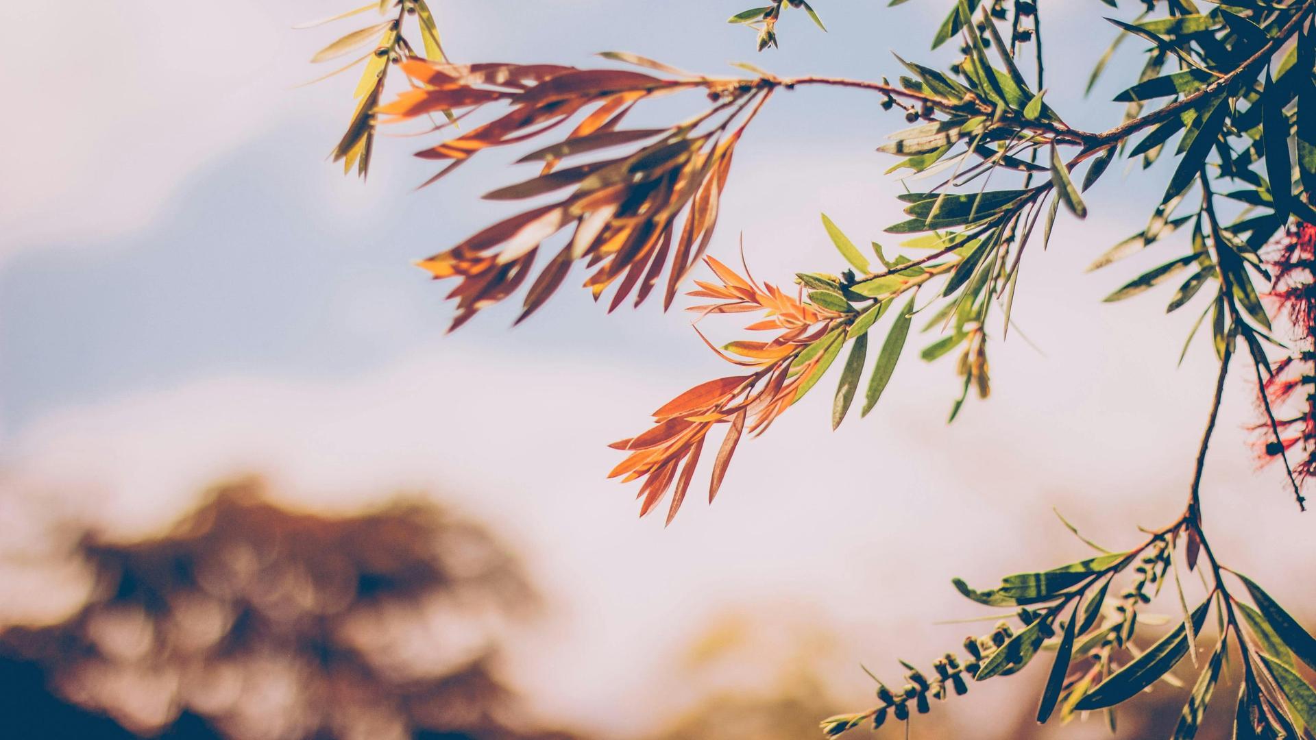 Record Cold High Temps Reached in Wisconsin