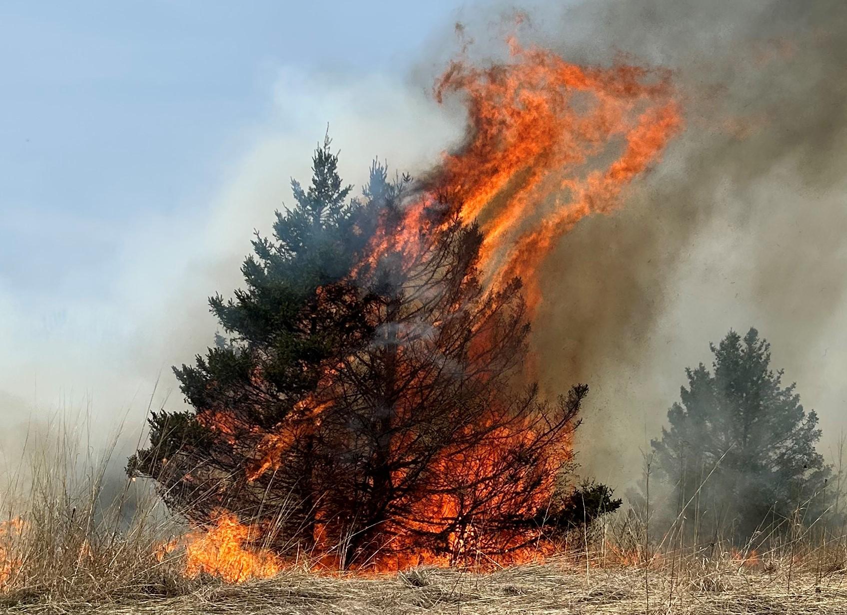 Wisconsin’s wildfire season is getting longer